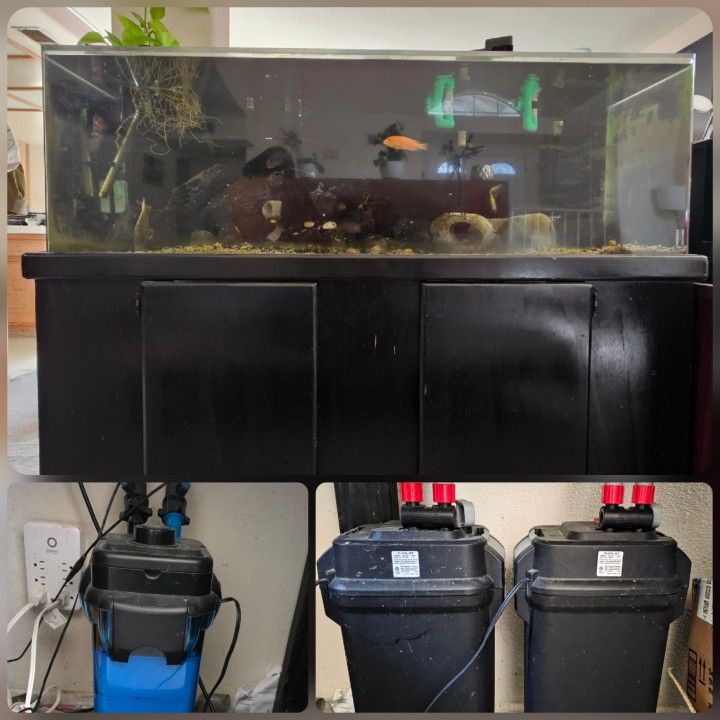 Fish Tank 85gal, Stand, 3x Canister Filter