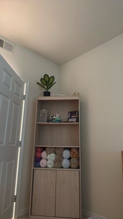 Cabinet/bookshelf combo!
