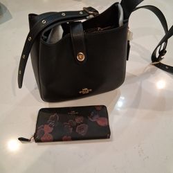 Coach Purse And Wallet