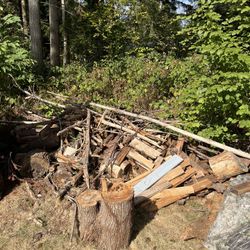 Free Wood