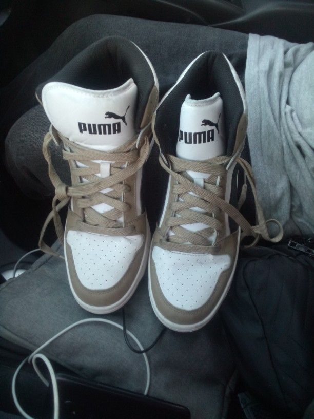 Puma's 