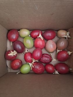 20 Passion Fruits  for $10