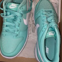 Kids Nike Dunks