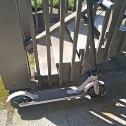 Electric scooter and charger