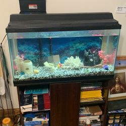 Aquarium 38” 