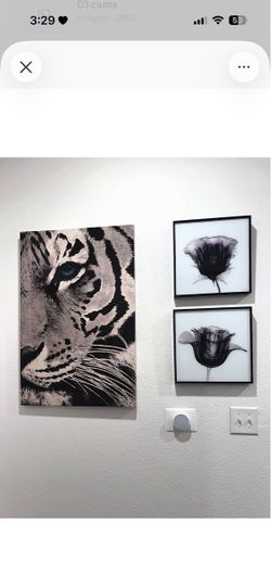Español: Cuadros decorativos: tigre y flores en blanco y negro. English: Decorative Wall Art: Tiger and Black-and-White Flowers.