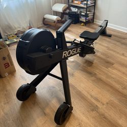 Rogue Echo Rower Like New