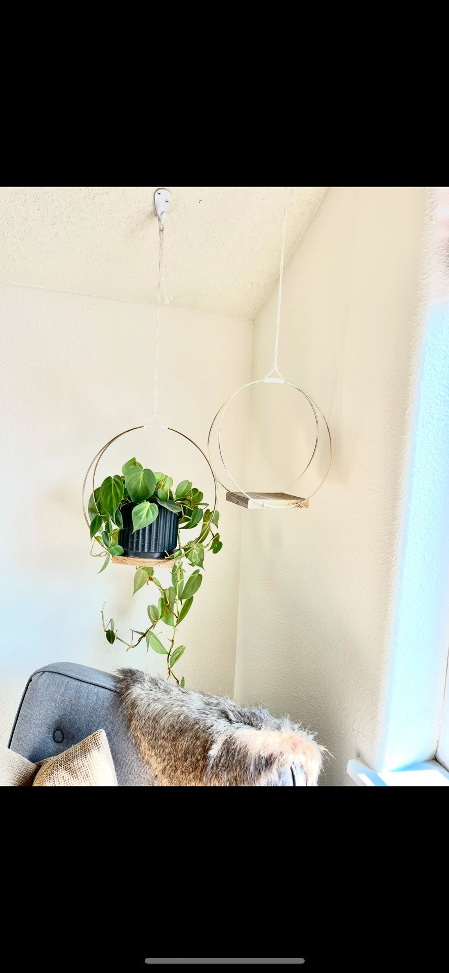 MCM Plant Hangers