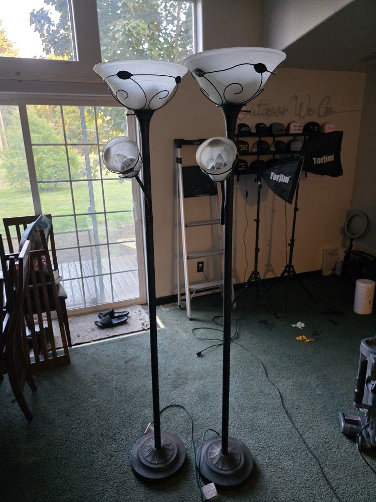6ft Tall Stand Lights