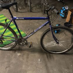 Elevation Mountain Bike