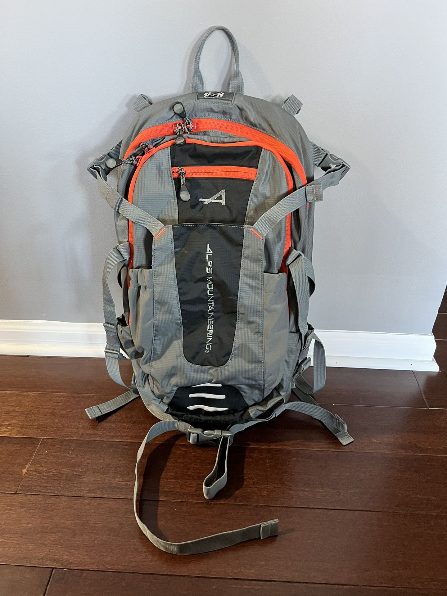 Brand new alps mountaineering 15L backpack
