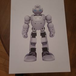 UBTECH ROBOTICS