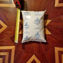 SMALL ICE PACKS, CAMPING, HUNTING,FISHING!