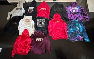 Lot of 14 Adult Hoodies Various Brands