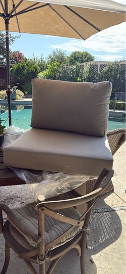 New Birch Lane Sunbrella Seat/back cushion