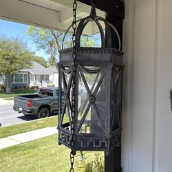 Huge bird feeding case