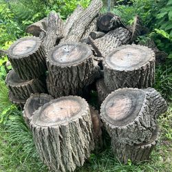 FREE Firewood, Walnut And pecan Wood 