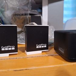 Gopro Enduro Batteries Bundle