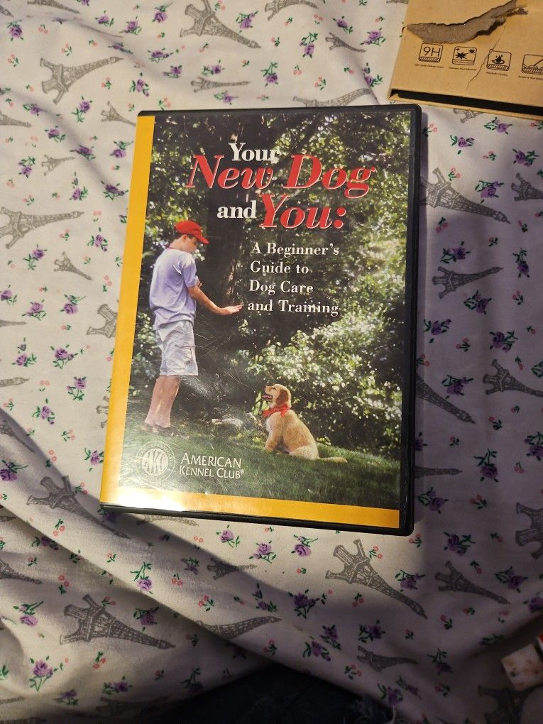 DVD Movies