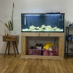 55 Gallon Fish Tank With Everything You Need + 4 Cichlid’s 