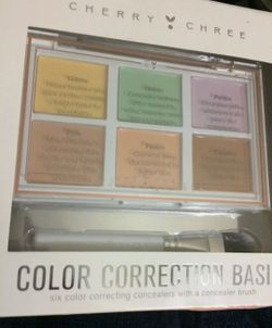 Color Correction Basix Palette With Brush