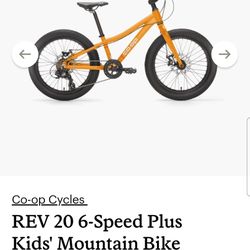 Co-op Rev 20 6- Speed Plus Kids Mountain Bike 