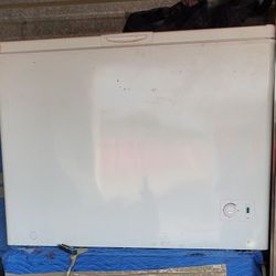 Large Commercial Deep Freezer 