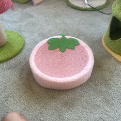 cat strawberry scratcher 
