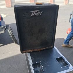 Peavey 118 Speaker Works Perfect 