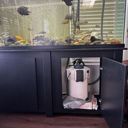 120 Gal Fish Tank  W/Stand