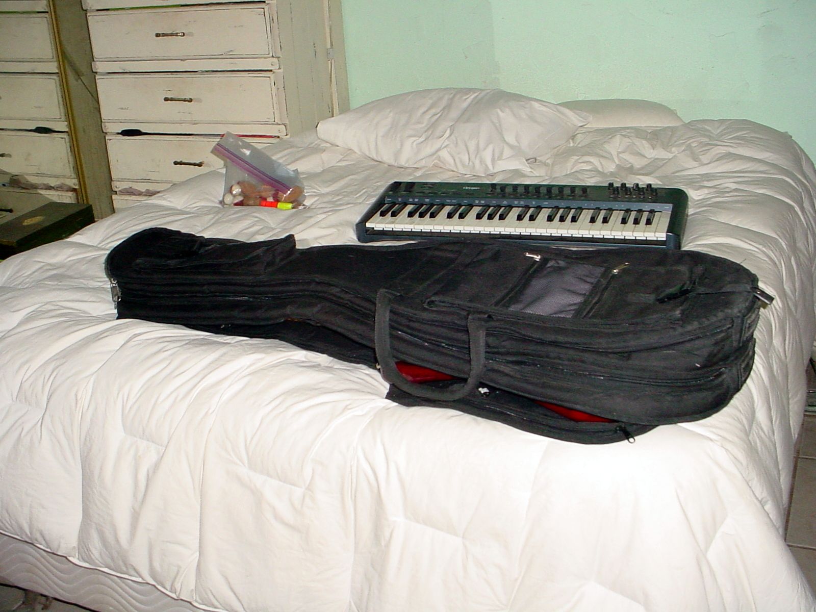 BASS GUITAR CASE WHICH HOLDS 2 BASS GUITARS WITH HEAVY ZIPPERS
