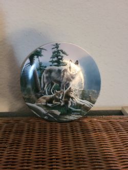 porcelain collectors plate