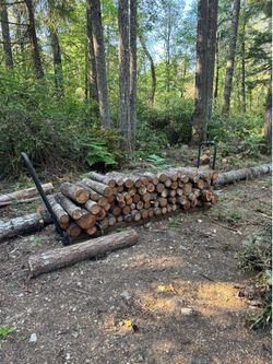 Firewood rounds