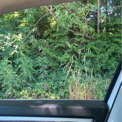 Look At My Page Make Offers