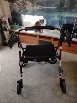 Guardian 500 lb Heavy-Duty Rollator Walker
