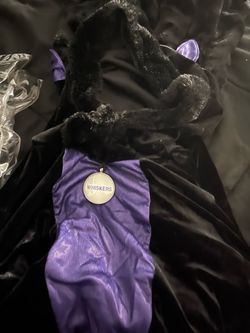 Whiskers Black Cat girls costume
