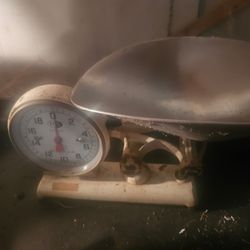Porcelain scale