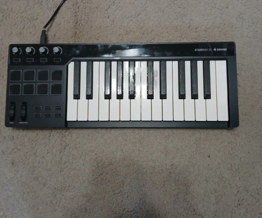 Profesional MIDI Piano (TRADES Or 40$)