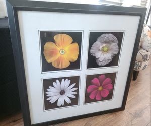 Large Art