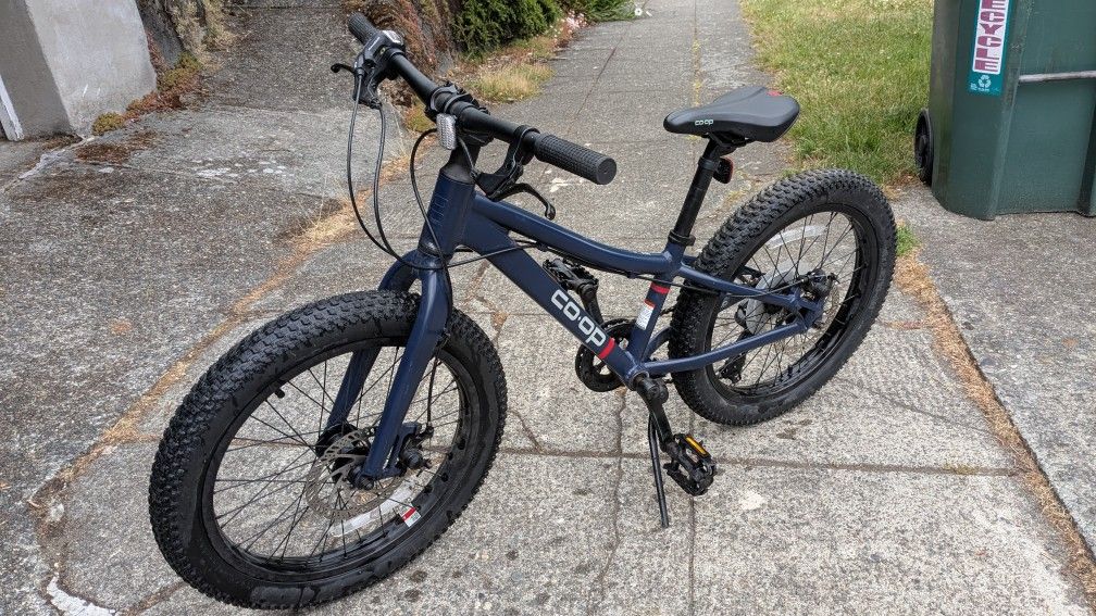REI Co-op Cycles REV 20 6 Speed Plus Kids Mountain Bike