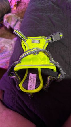 Vivaglory XS Dog Harness Neon Yellow