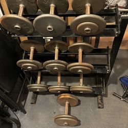330 Lbs Of Pro-Style Dumbbells With Rack