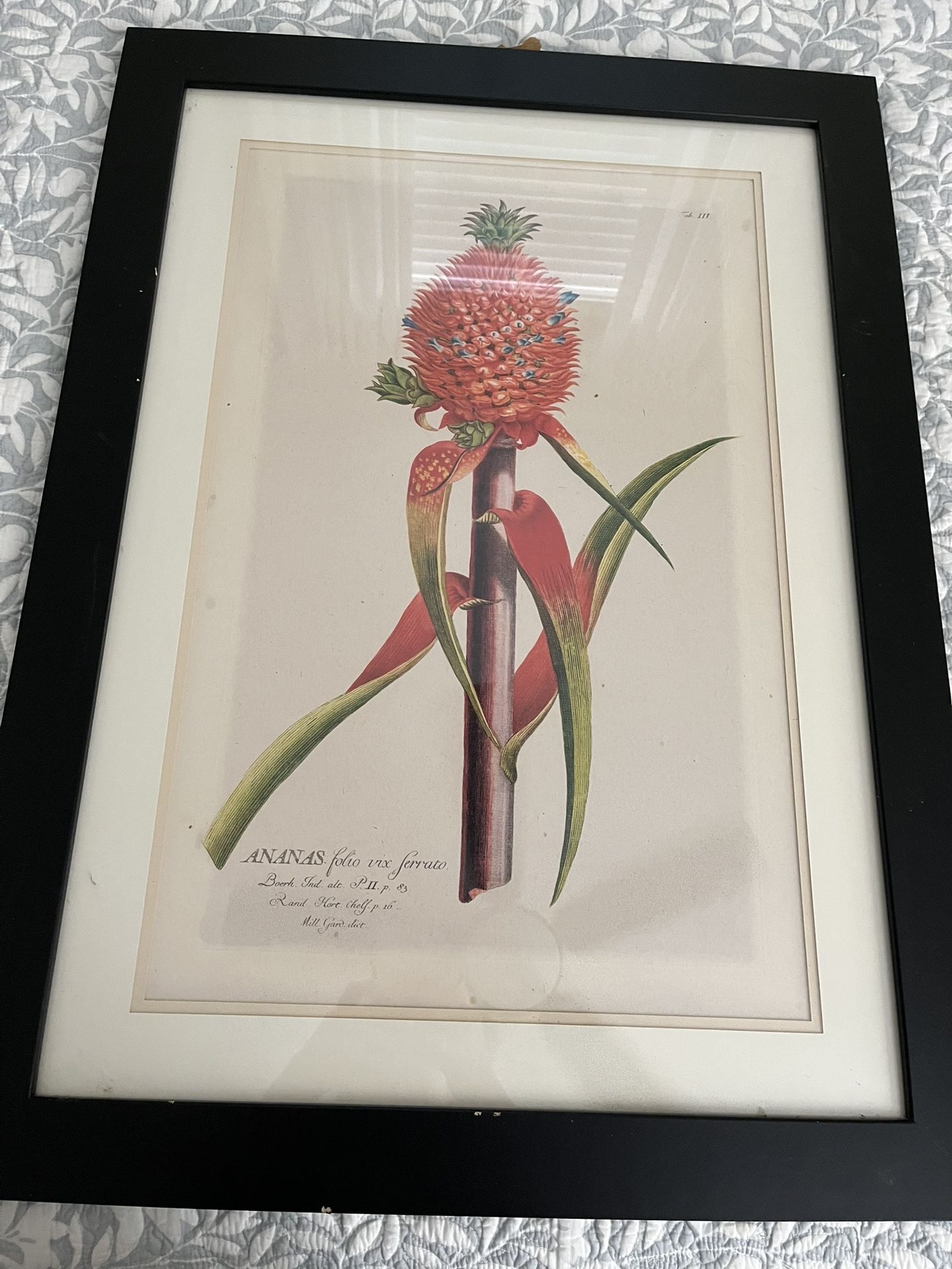 Black Framed Picture