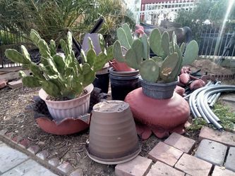 Obsessed With Your Garden?