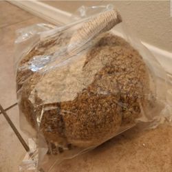 NEW Pottery Barn Cozy Small Pumpkin Pillow Tobacco Brown Fall Halloween 