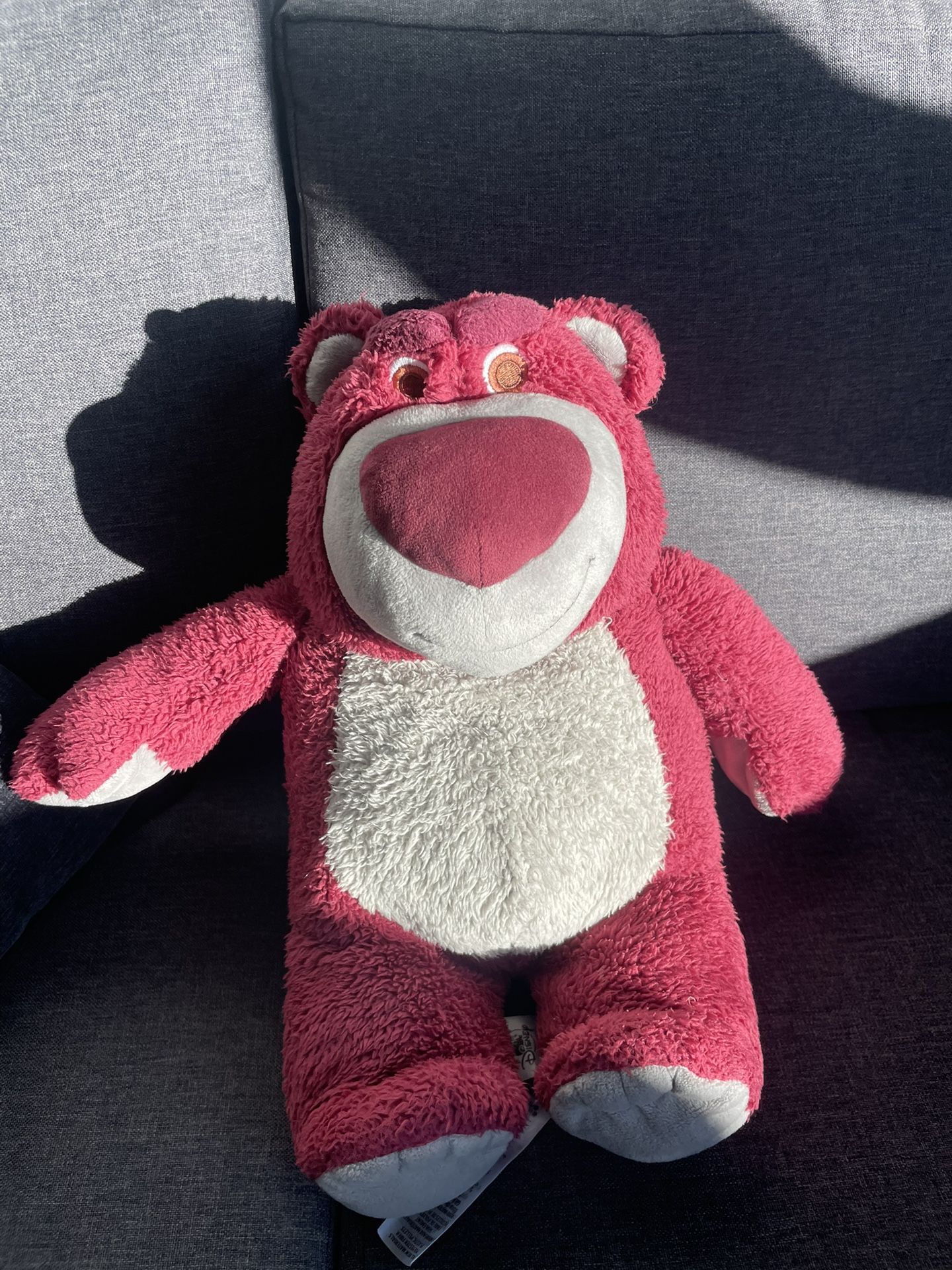 Stuffy Who Needs A Home