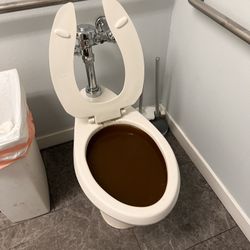 Clogged Drains