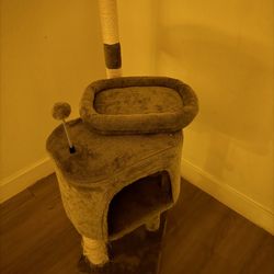 Free Cat House Scratcher 