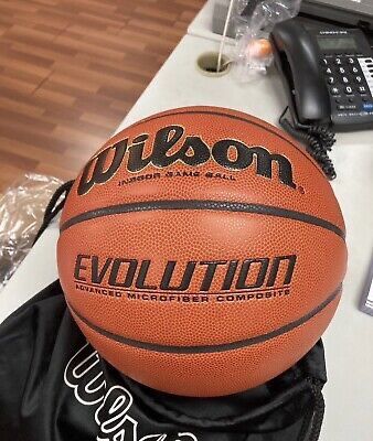 Wilson Evolution Ball