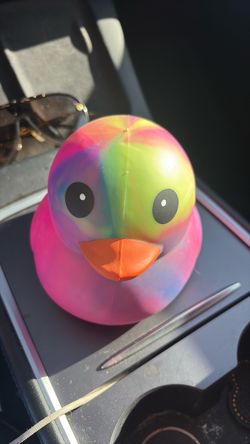 Squeezy duck